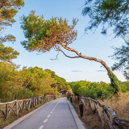 Olives Tatil Evi