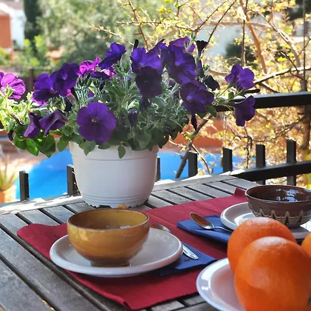 Olives Tatil Evi *